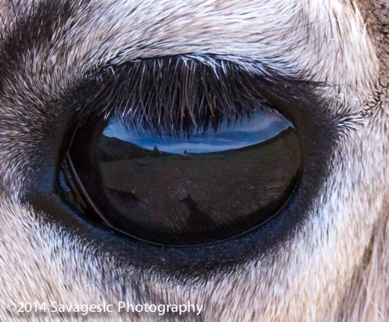 Illustration for article titled 14 fascinantes fotos del concurso National Geographic Traveler